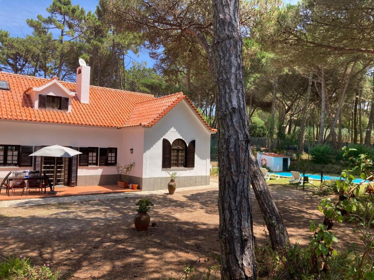 Moradia No Pinhal Com Piscina - Espaco E Privacidade Para As Suas Ferias! Sintra Kültér fotó