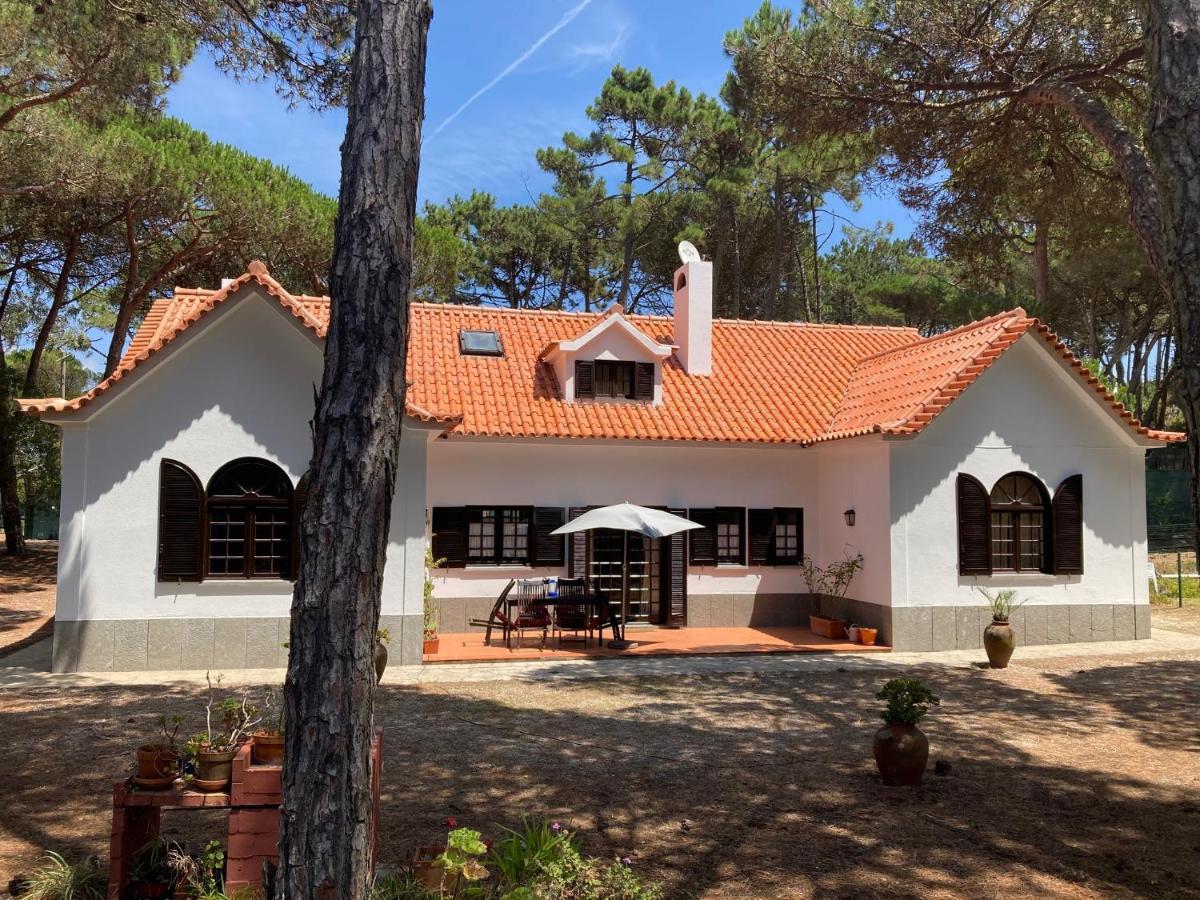 Moradia No Pinhal Com Piscina - Espaco E Privacidade Para As Suas Ferias! Sintra Kültér fotó