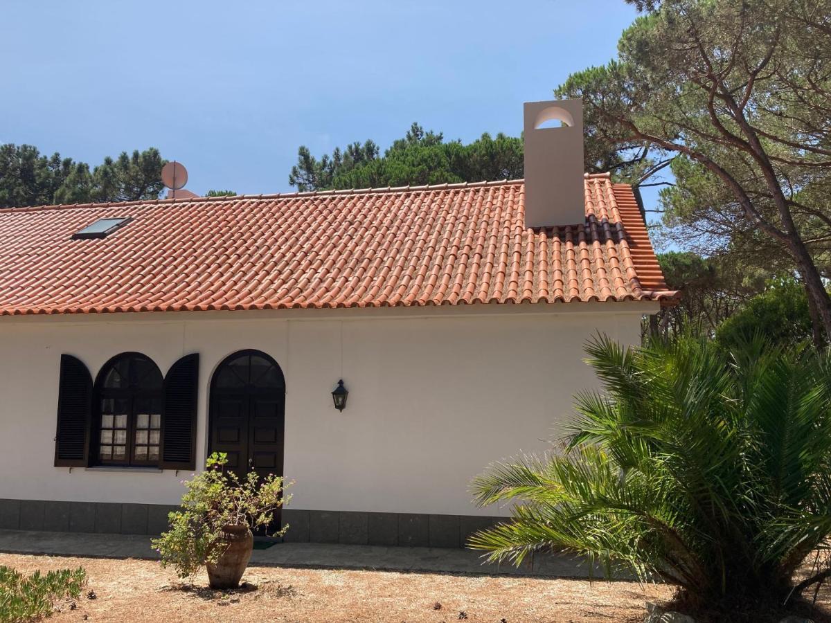 Moradia No Pinhal Com Piscina - Espaco E Privacidade Para As Suas Ferias! Sintra Kültér fotó